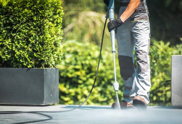 Best Dumpster Area Cleaning  in Sloan, NY
